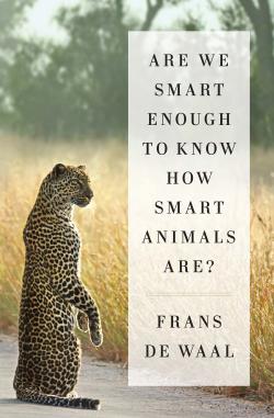 160415_sci_how-smart-animals-are-jpg-crop-article250-medium
